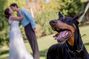 fotografo de bodas buenos aires, fotografo de casamientos, fotografia de bodas buenos aires, fotografo de bodas capital federal, fotografo de casamientos capital federal, fotografo de casamientos buenos aires, foto de bodas, foto de casamientos, caba, capital federal, preboda, postboda, e-sesion, love story