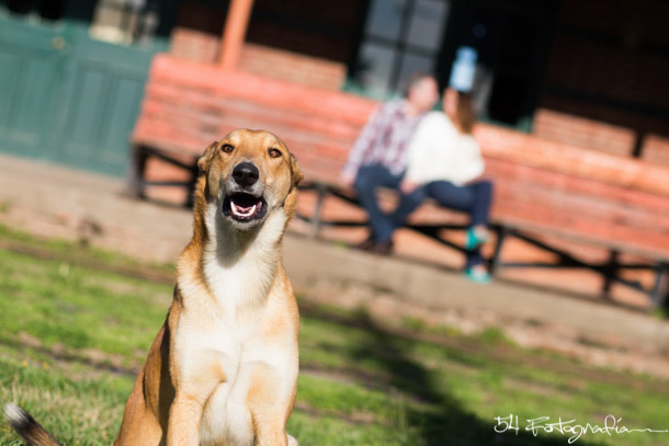 fotografo de bodas buenos aires, fotografo de casamientos, fotografia de bodas buenos aires, fotografo de bodas capital federal, fotografo de casamientos capital federal, fotografo de casamientos buenos aires, foto de bodas, foto de casamientos, caba, capital federal, preboda, postboda, e-sesion, love story