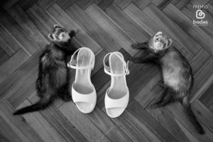 fotoperiodismo de bodas, fotografo de bodas, buenos aires, argentina, fotografo de casamientos, wpjar, fotos premiadas, mejores fotografos de bodas argentina